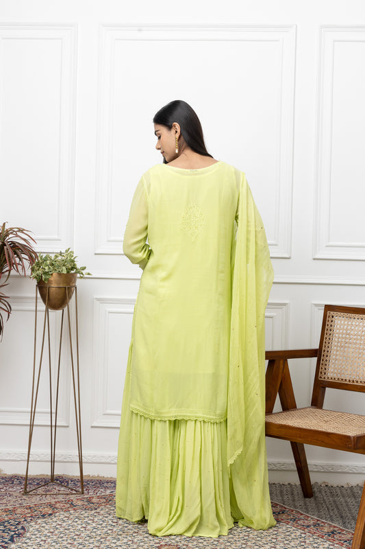 Elegant Georgette Stitched Sharara Dress