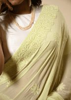 Pastel Hand Embroidered Chikankari Saree | Lucknowi Chikankari