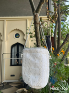 Everyday Cotton Potali Collection 🌿