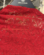 Red Hand Embroidered Chikankari Dupatta