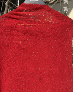 Red Hand Embroidered Chikankari Dupatta