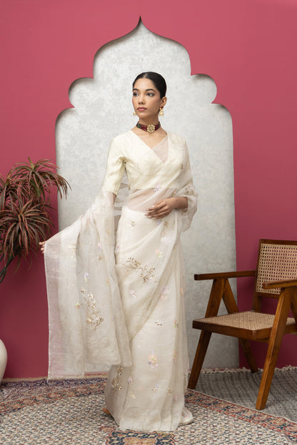Oragnaza sareewith blouse+multicolour+mukaish