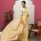 Organza Saree