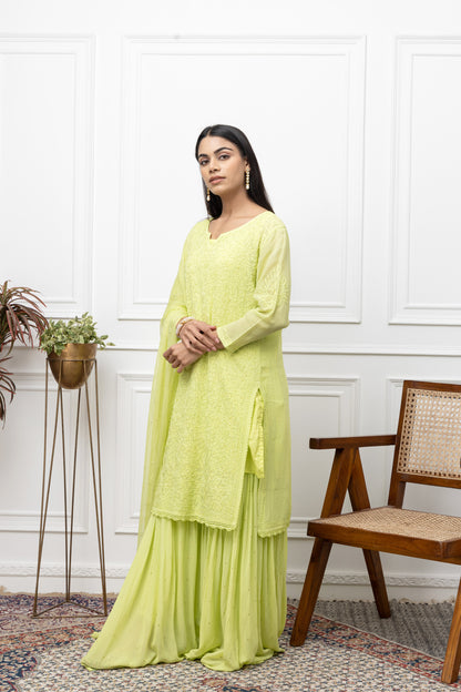 Stitched Sharara Dress