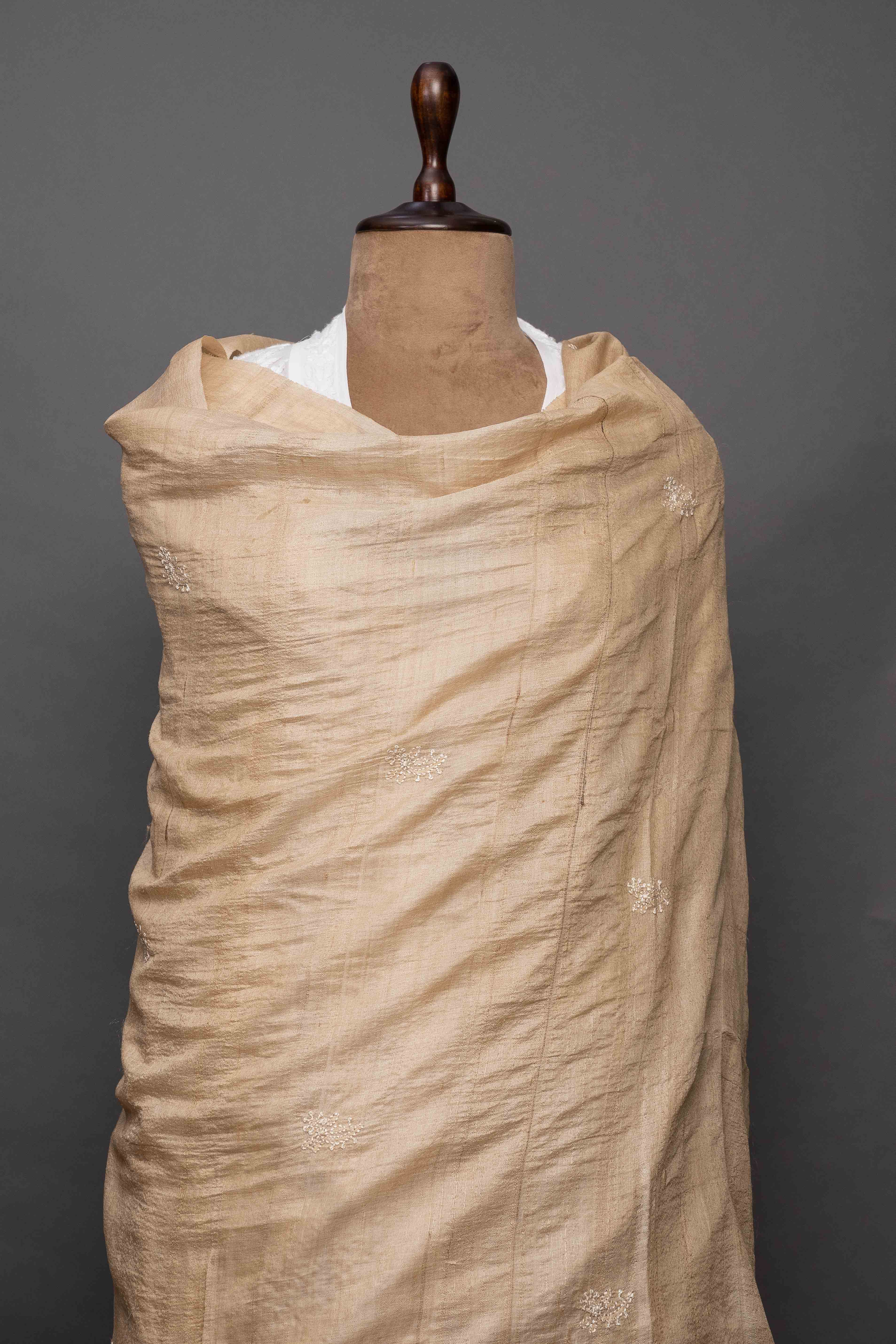 Beige Tussar Chikankari Dupatta